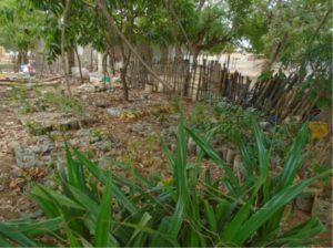 Projet communautaire d'atténuation des effets négatifs des changements climatiques dans la zone de Fimela